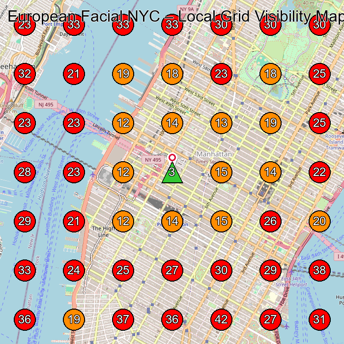 European Facial NYC GeoGrid visibility map for Facial Spa in New York